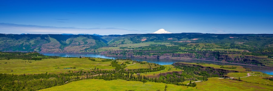 Mt. Adams looks down on the Columbia River Gorge
