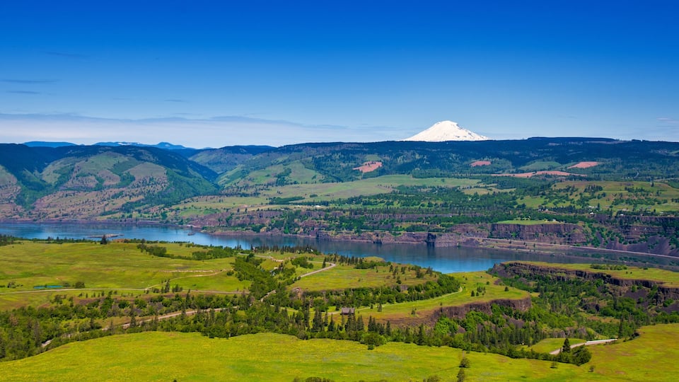 Mt. Adams looks down on the Columbia River Gorge