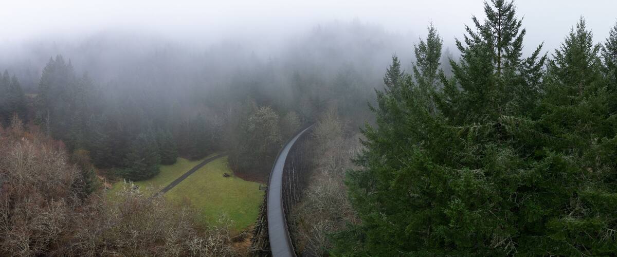 Low rain clouds drift across the Banks Vernonia trail, an old railroad bed west of Portland, Oregon. This forested area is popular amongst hikers, bikers, and campers.