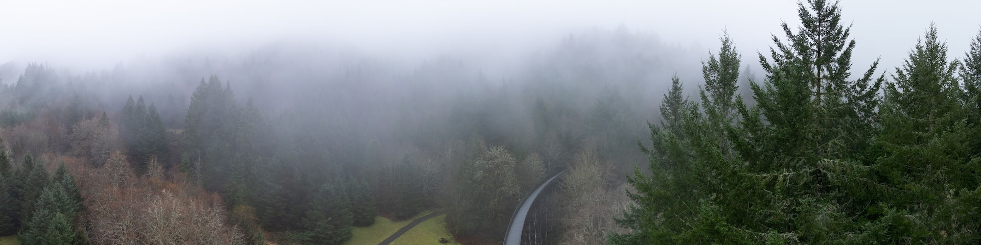 Low rain clouds drift across the Banks Vernonia trail, an old railroad bed west of Portland, Oregon. This forested area is popular amongst hikers, bikers, and campers.