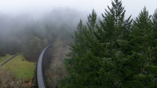 Low rain clouds drift across the Banks Vernonia trail, an old railroad bed west of Portland, Oregon. This forested area is popular amongst hikers, bikers, and campers.