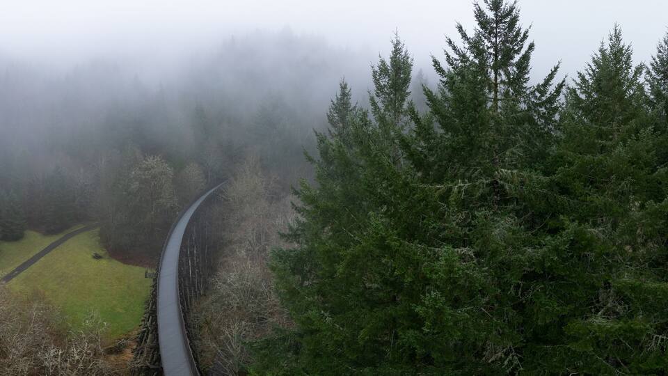 Low rain clouds drift across the Banks Vernonia trail, an old railroad bed west of Portland, Oregon. This forested area is popular amongst hikers, bikers, and campers.