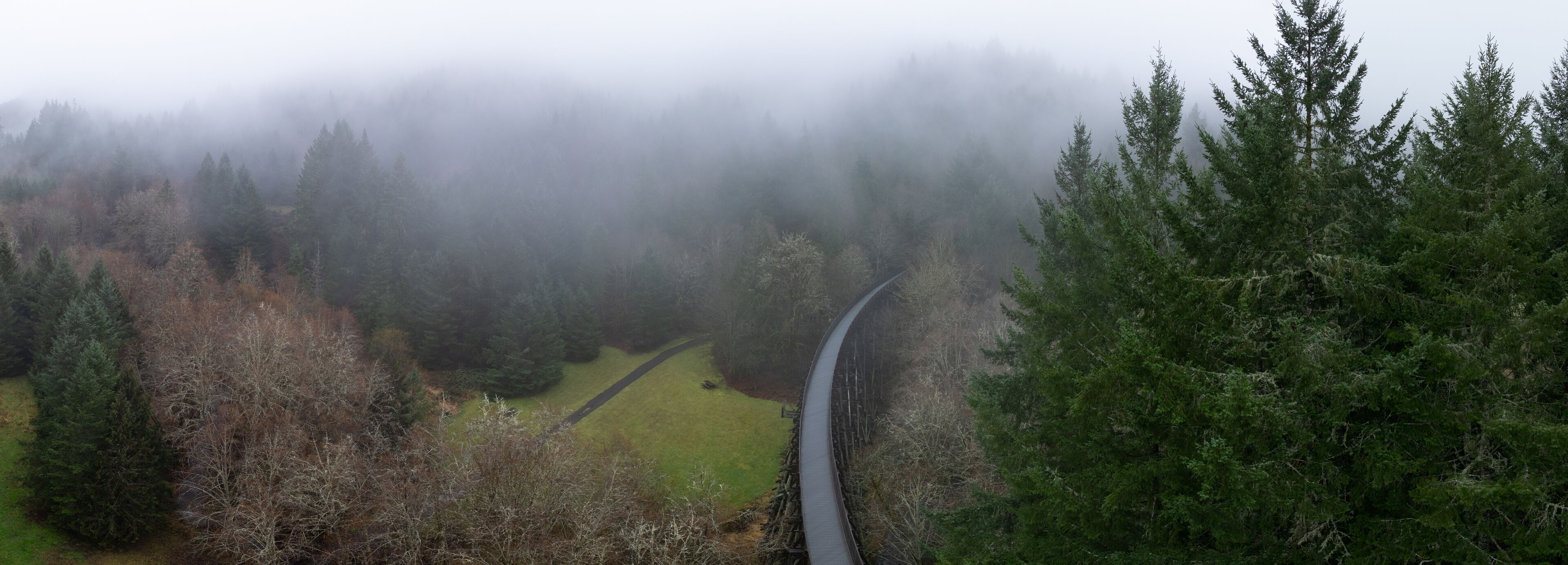 A foggy forest with a winding road.