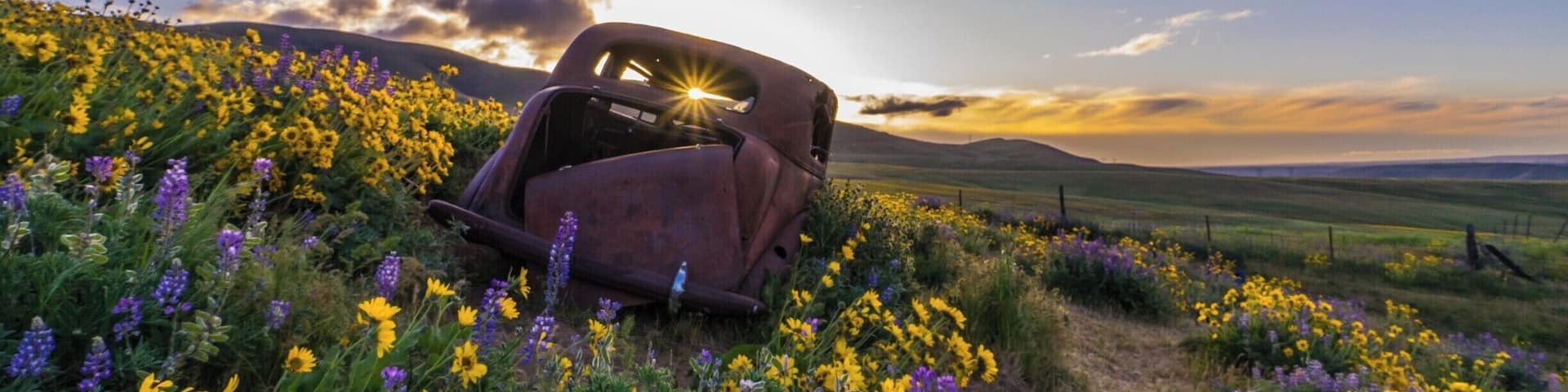 Went to this park for sunrise. Everything was perfect. #Green