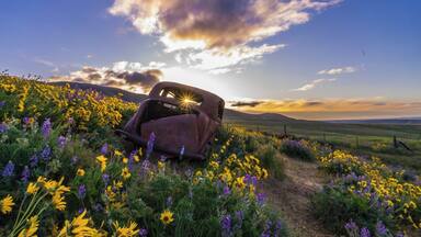 Went to this park for sunrise. Everything was perfect. #Green