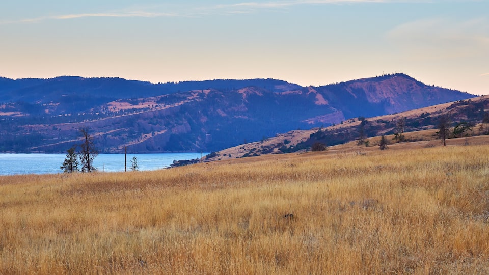 A lake surrounded by mountains and dry grassland.