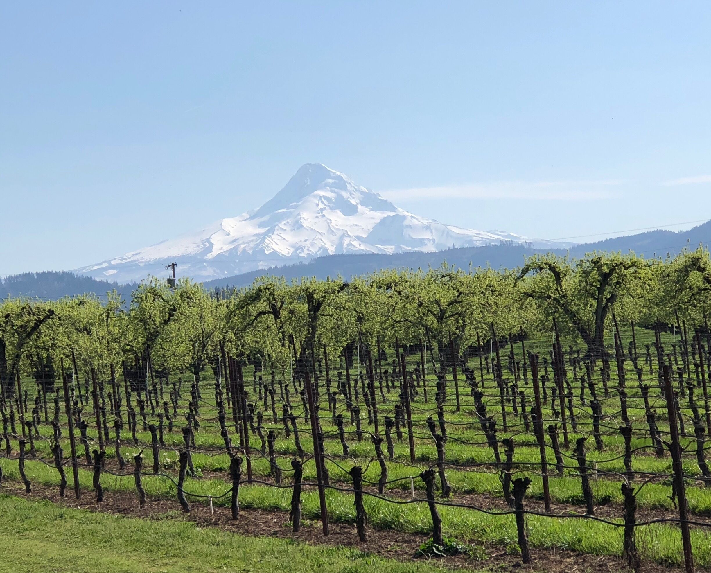When the view is so amazing you HAVE to pull over and take the shot!! 