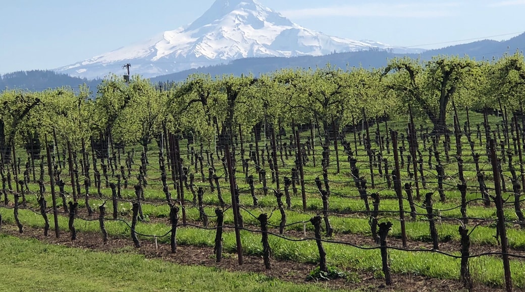 When the view is so amazing you HAVE to pull over and take the shot!!