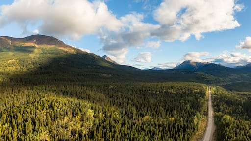 Beautiful View of Scenic Road surrounded by Lush Forest Valley and Mountains at Sunrise in Canadian Nature. Aerial Drone Shot. Taken near Stewart-Cassiar Highway, Northern British Columbia, Canada.