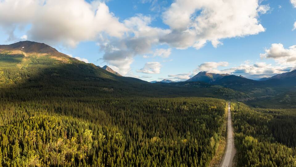 A forested valley with a road leading through it, surrounded by mountains.