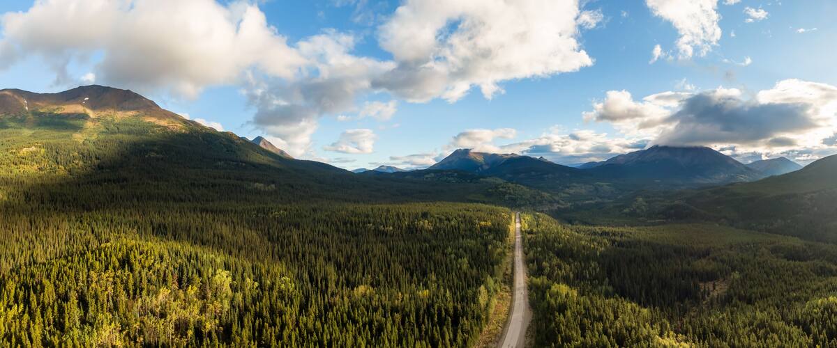 A forested valley with a road leading through it, surrounded by mountains.