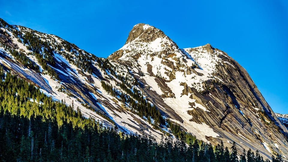 A mountain with snow patches, dense forest, and clear blue sky.
