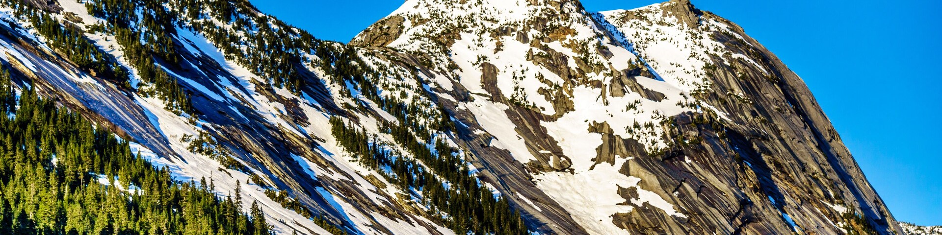 Montaña con parches de nieve, bosque denso y cielo azul despejado.