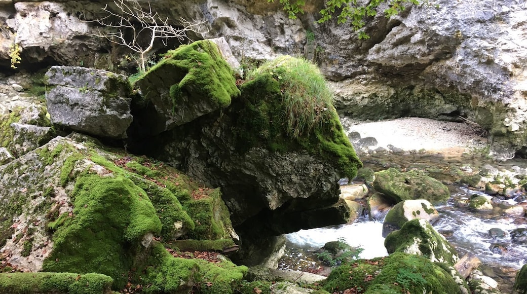 The Areuse gorge can be reached easily from Basel. The hike starts in open fields but follows the Areuse stream as it descends sharply, falling through narrow gorges. The route can be treacherous but the narrow gorges are beautiful and the falls spectacular. There is a large variety of birds and at Champ-du-Moulin, about half way along the route, trout can be seen swimming up the current.