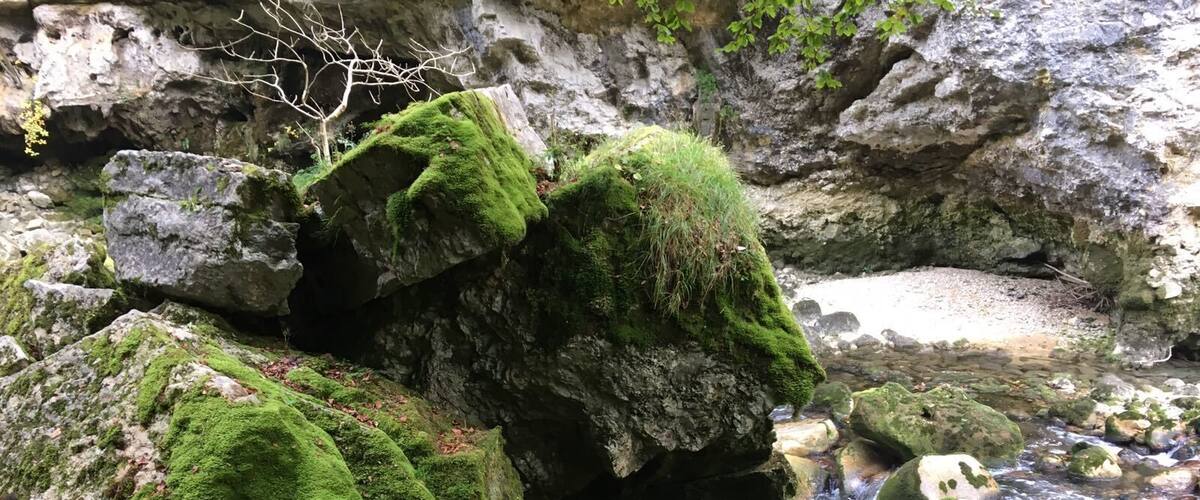 The Areuse gorge can be reached easily from Basel. The hike starts in open fields but follows the Areuse stream as it descends sharply, falling through narrow gorges. The route can be treacherous but the narrow gorges are beautiful and the falls spectacular. There is a large variety of birds and at Champ-du-Moulin, about half way along the route, trout can be seen swimming up the current.