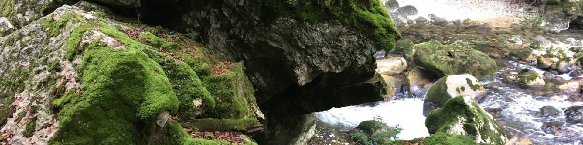 The Areuse gorge can be reached easily from Basel. The hike starts in open fields but follows the Areuse stream as it descends sharply, falling through narrow gorges. The route can be treacherous but the narrow gorges are beautiful and the falls spectacular. There is a large variety of birds and at Champ-du-Moulin, about half way along the route, trout can be seen swimming up the current.