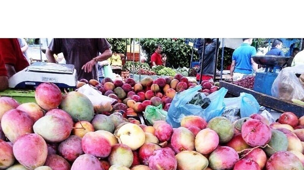 Mangos from orotina Costa Rica