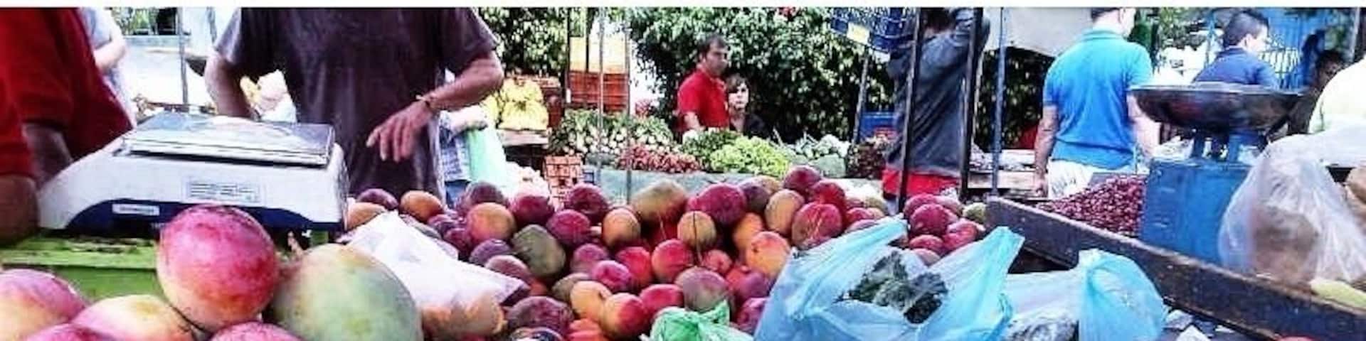 Mangos from orotina Costa Rica