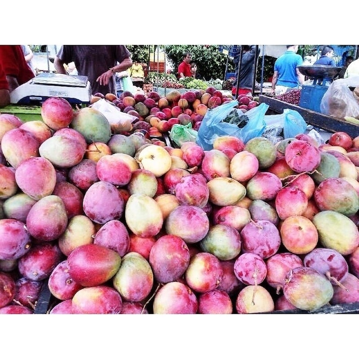 Mangos from orotina Costa Rica