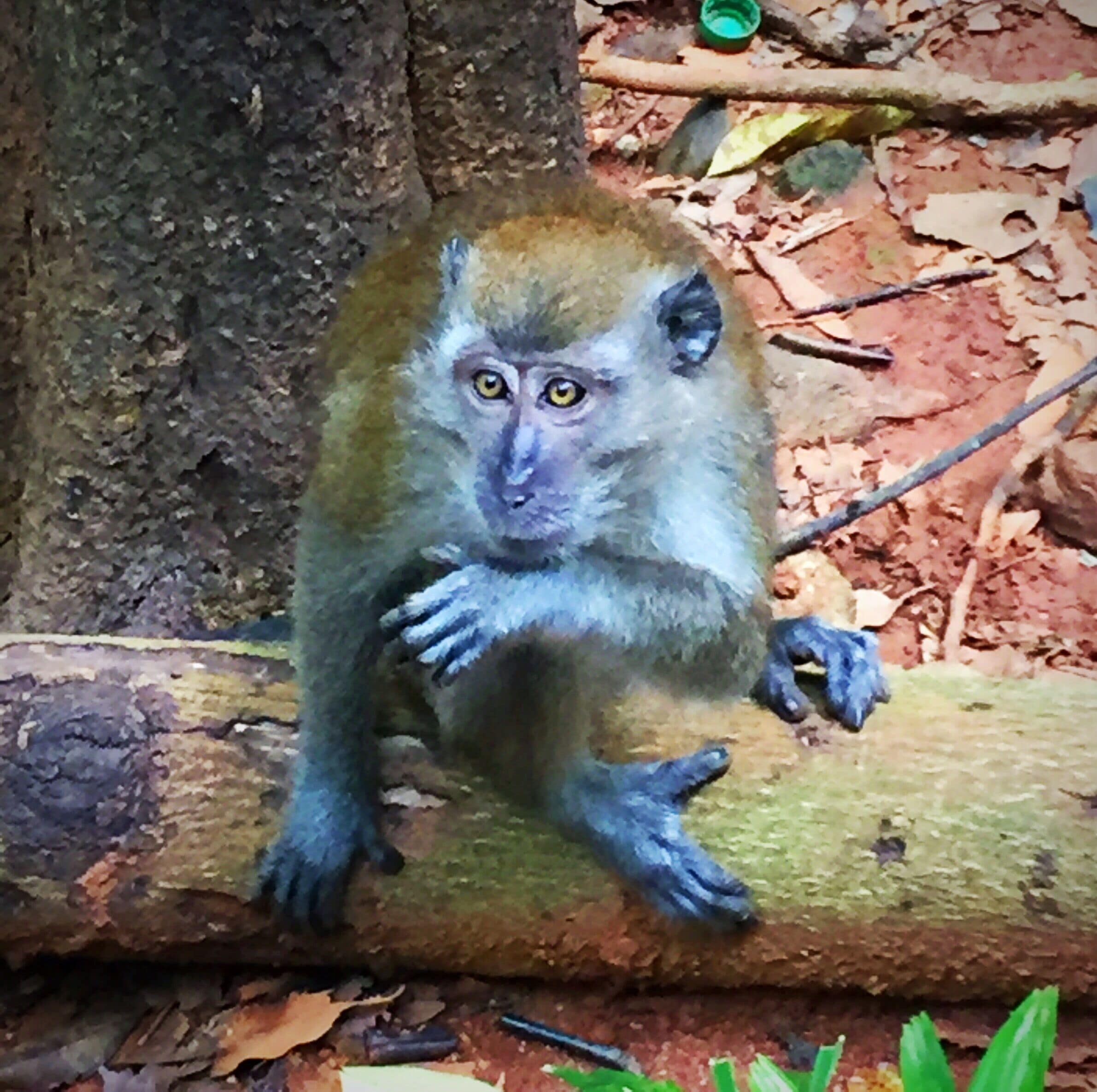 They were everywhere!