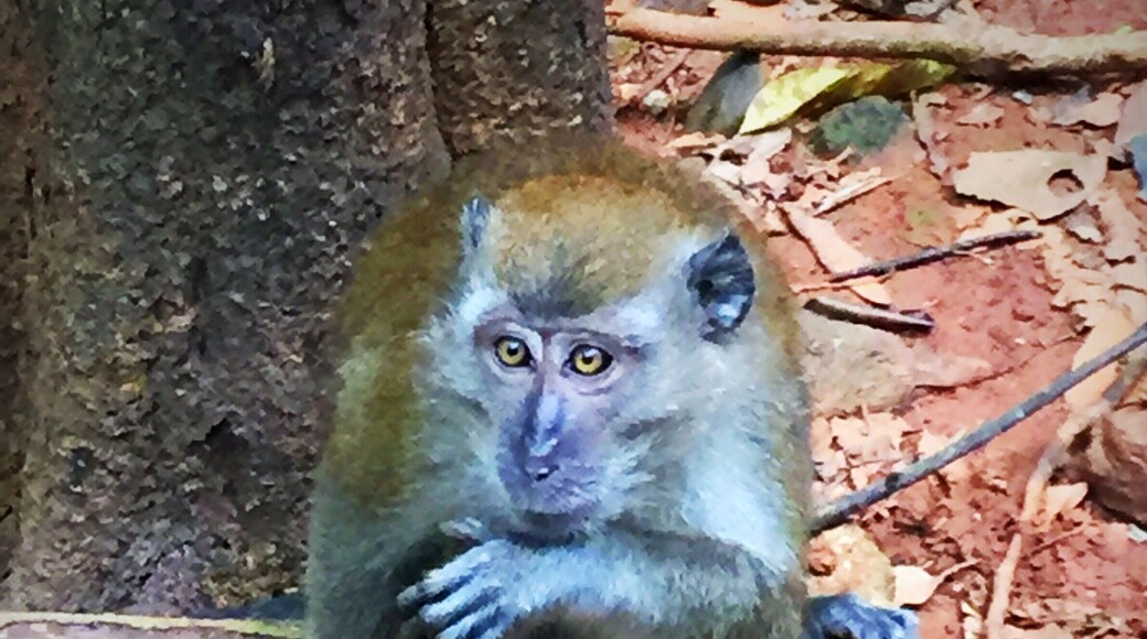 They were everywhere!