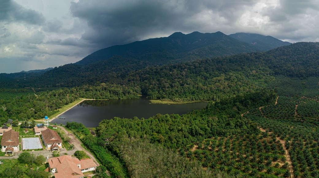 Aerial drone view of rural scenery with tropical trees in Mount Ledang National Park, Johor, Malaysia.