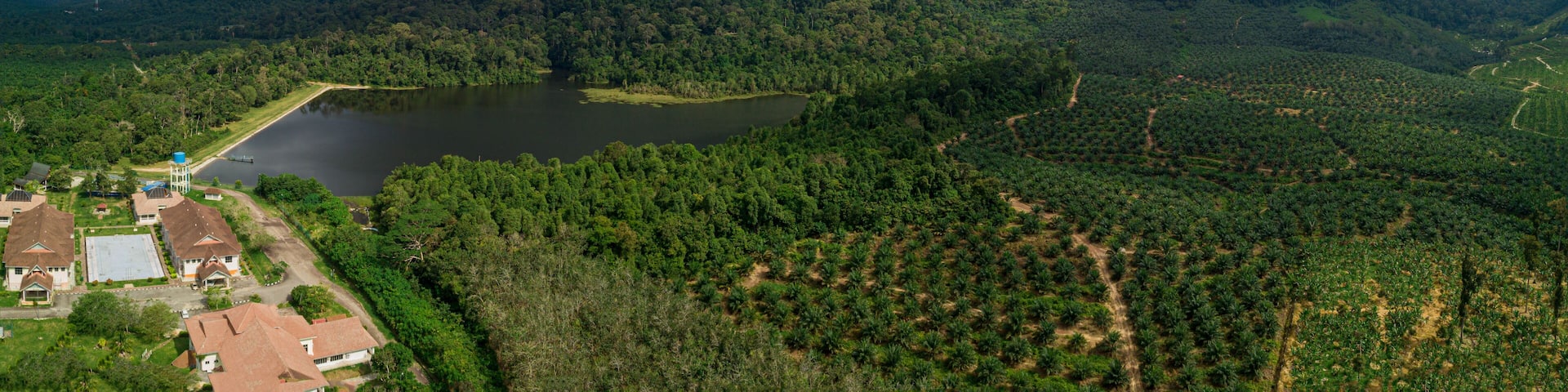 Aerial drone view of rural scenery with tropical trees in Mount Ledang National Park, Johor, Malaysia.