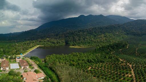 Aerial drone view of rural scenery with tropical trees in Mount Ledang National Park, Johor, Malaysia.