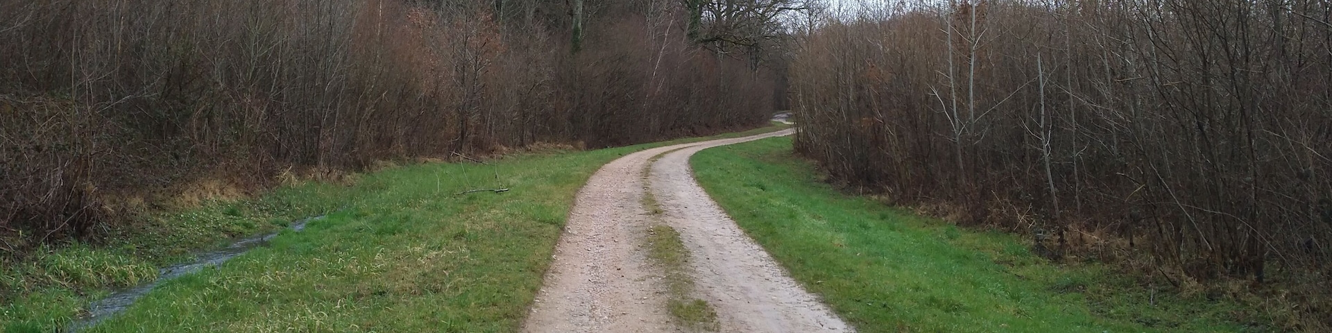Chemin dans la forêt, près de la Côte-d'Or, sur la commune de Peintre (Jura, France).