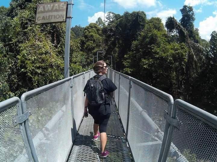 Perfect place to leisure and see animal from top!