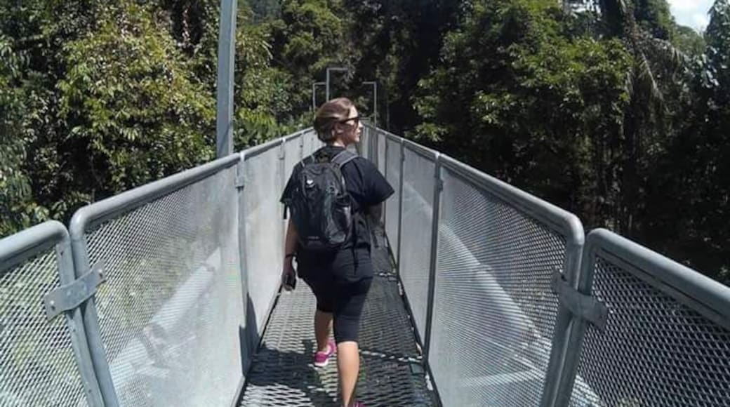 Perfect place to leisure and see animal from top!