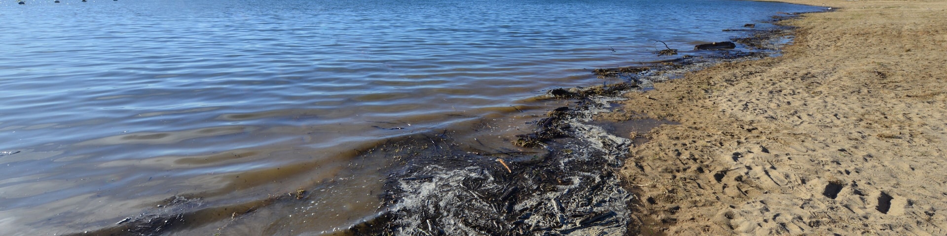 A sandy beach with clear water and distant mountains.