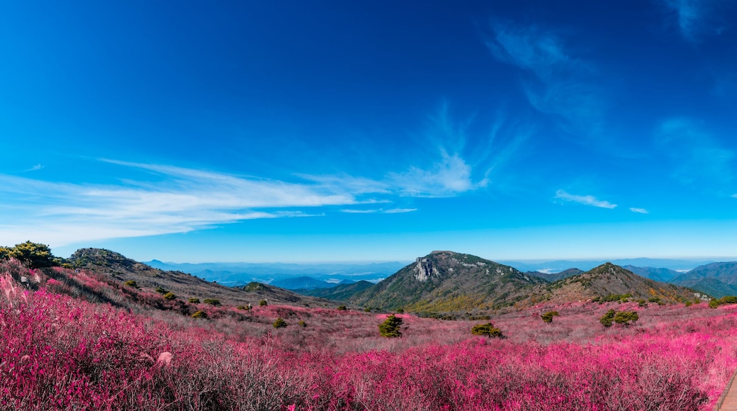 Biseulsan National Recreation Forest The best Image of landscape Mountain flower and autumn in South Korea.