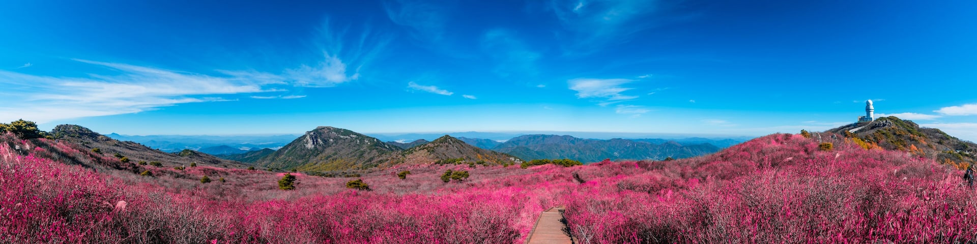 Biseulsan National Recreation Forest The best Image of landscape Mountain flower and autumn in South Korea.