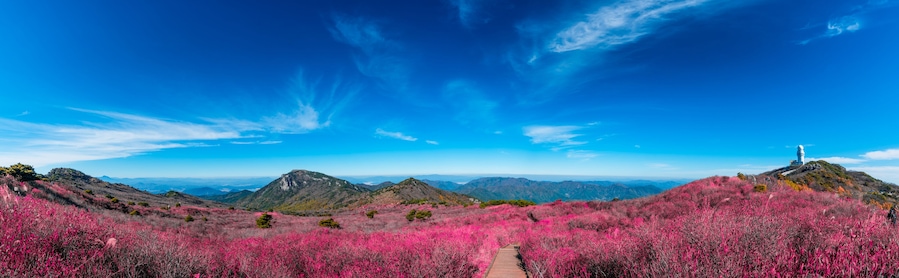 Biseulsan National Recreation Forest The best Image of landscape Mountain flower and autumn in South Korea.