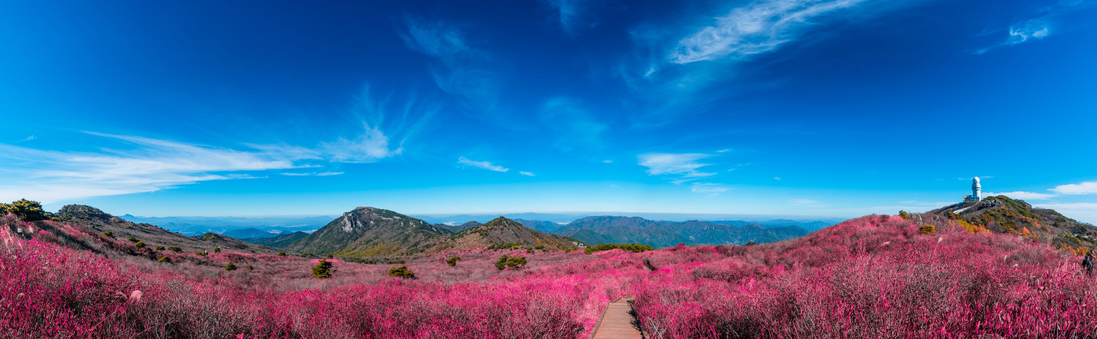 A mountainous landscape with pink flowering shrubs, a clear blue sky, and a lighthouse on a hill.