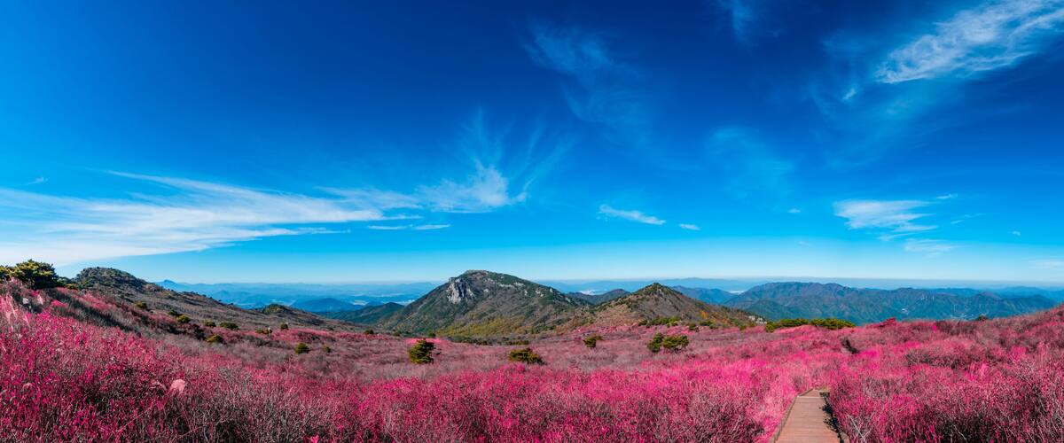 A mountainous landscape with pink flowering shrubs, a clear blue sky, and a lighthouse on a hill.