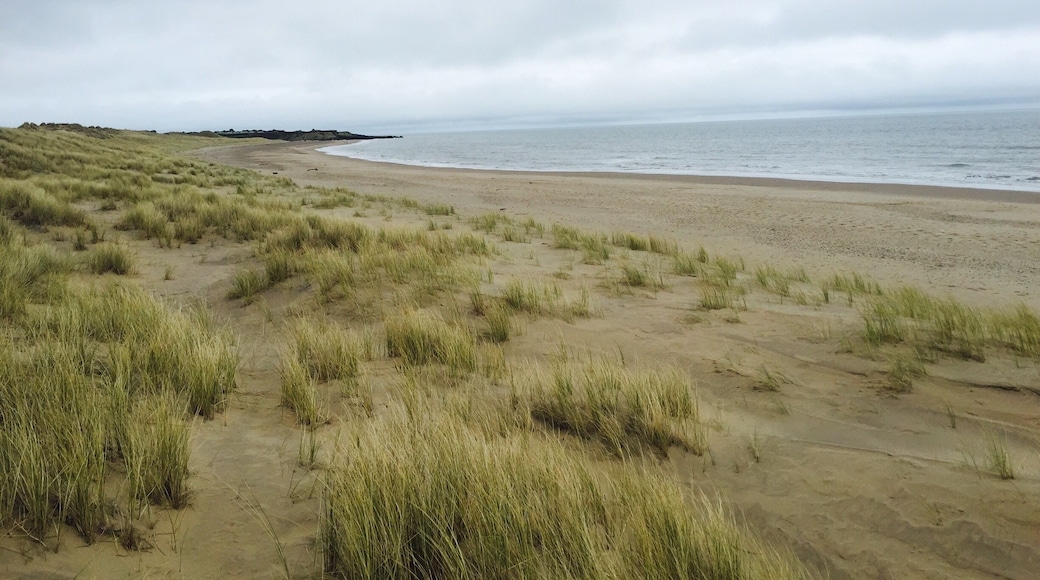 Lovely spot to have an afternoon walk. In summer this place is absolutely packed but in winter completely empty!