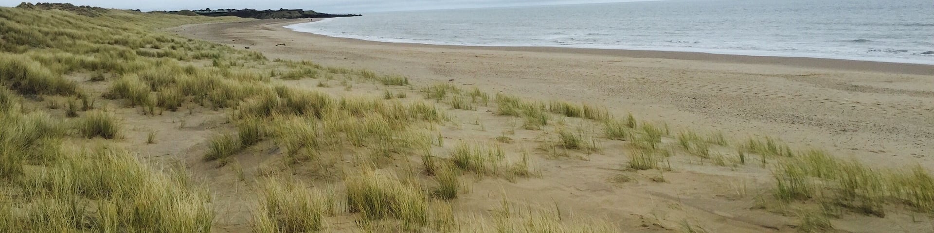 Lovely spot to have an afternoon walk. In summer this place is absolutely packed but in winter completely empty!