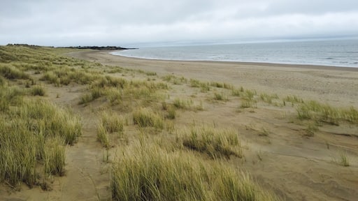 Lovely spot to have an afternoon walk. In summer this place is absolutely packed but in winter completely empty!