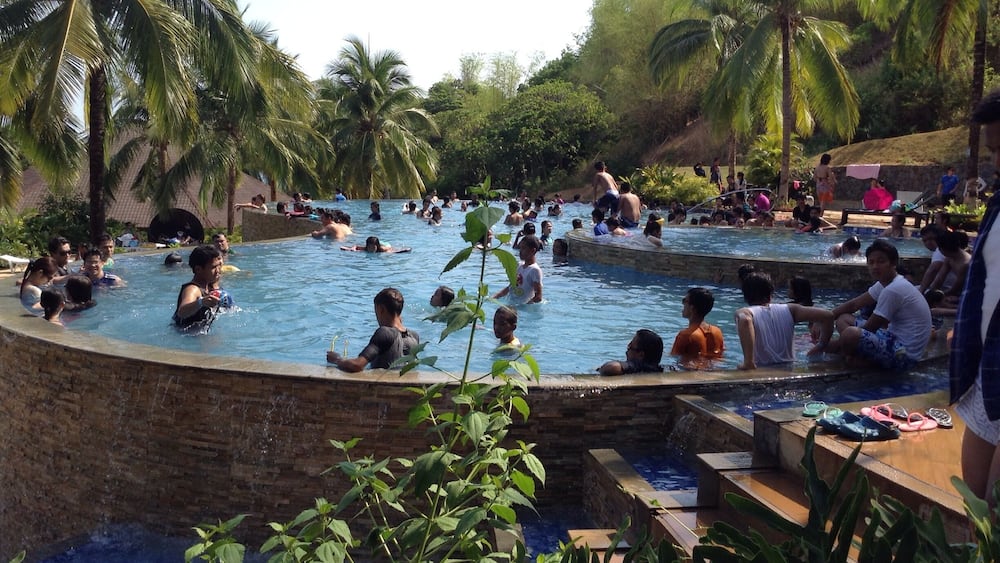 A crowded outdoor swimming pool surrounded by palm trees and greenery.