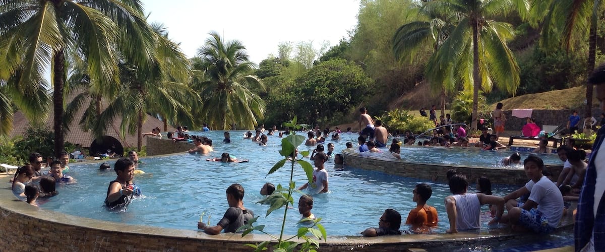 A crowded outdoor swimming pool surrounded by palm trees and greenery.