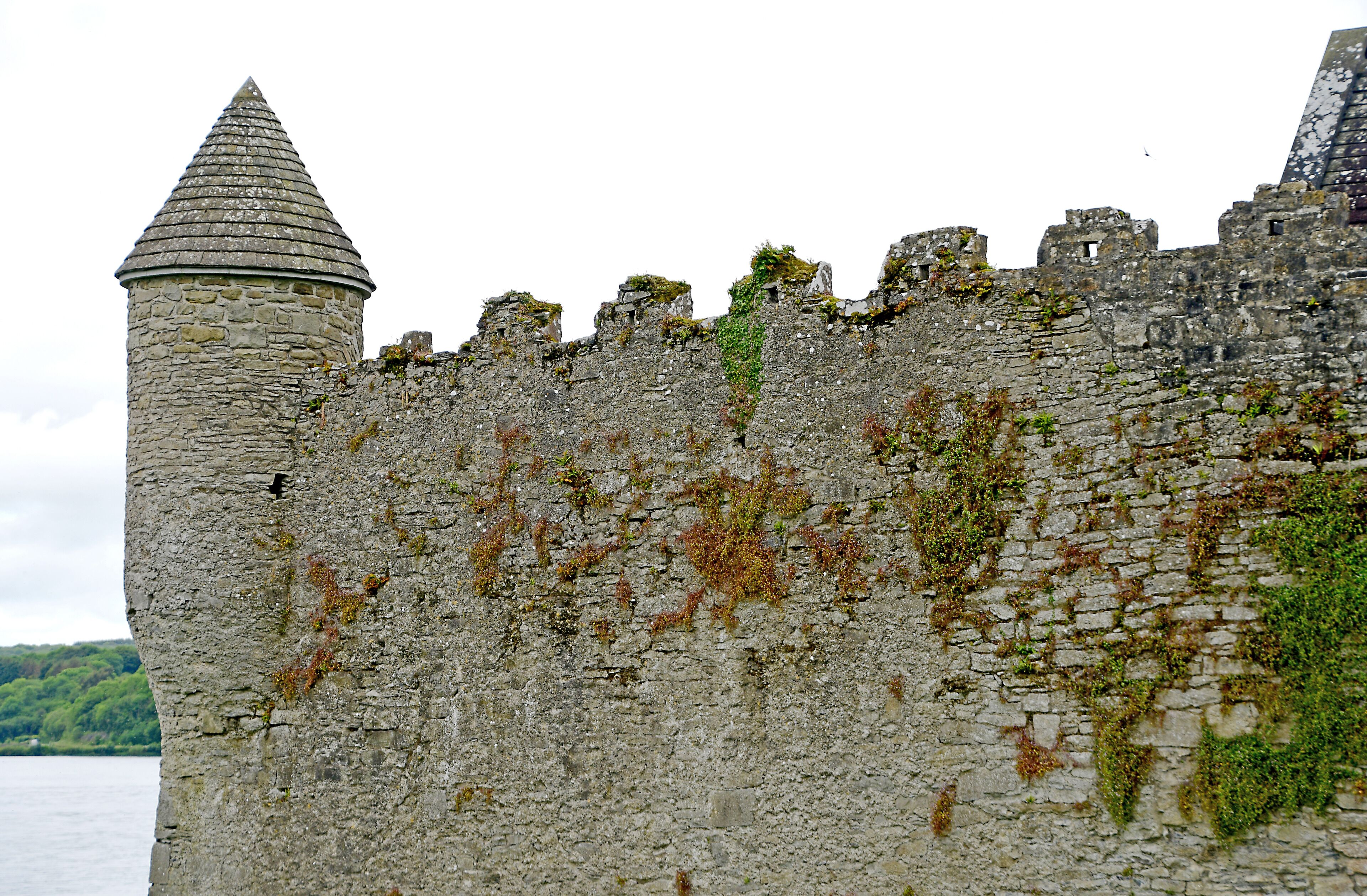 A stone castle with a conical tower and a partially intact wall.