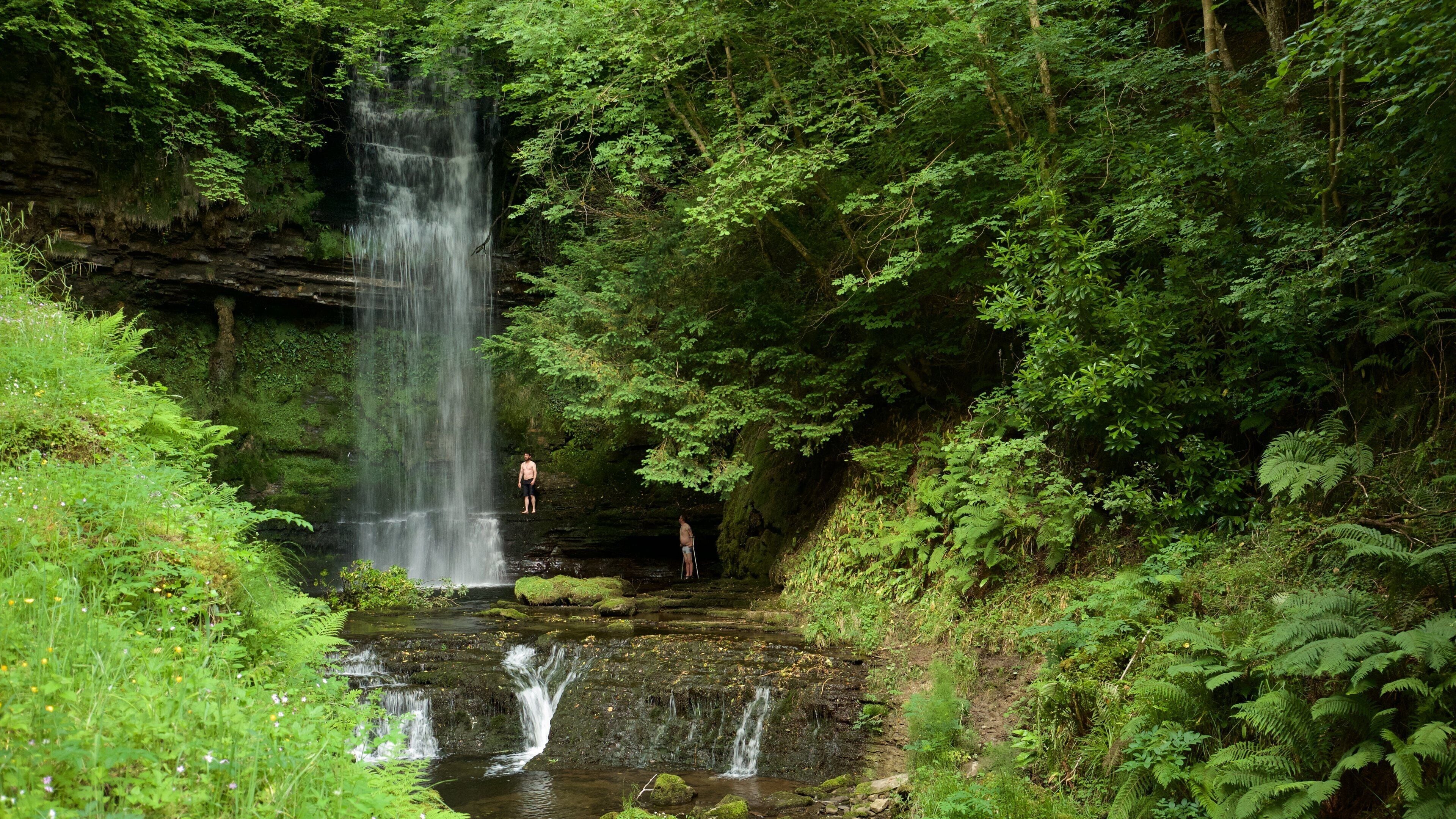 Glencar showing forests and a cascade as well as a couple