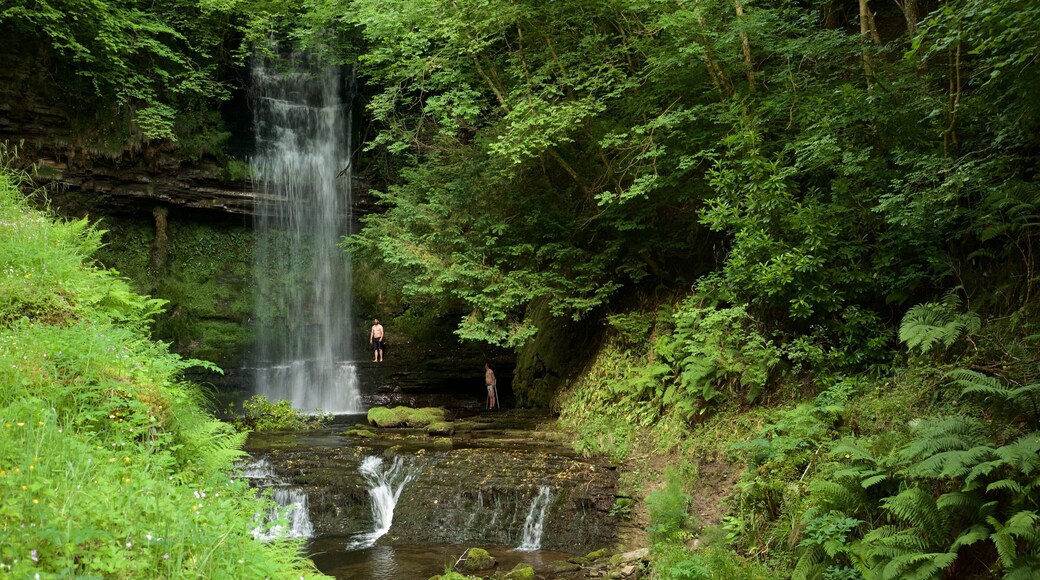 Glencar showing forests and a cascade as well as a couple