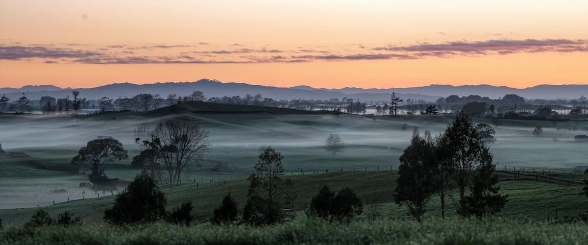 A beautiful sunrise with a touch of mist in the Waikato, New Zealand.