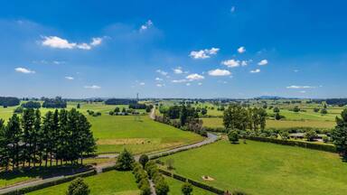 Aerial drone view over lush green farmland in the Waikato region of New Zealand