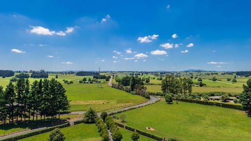 Aerial drone view over lush green farmland in the Waikato region of New Zealand