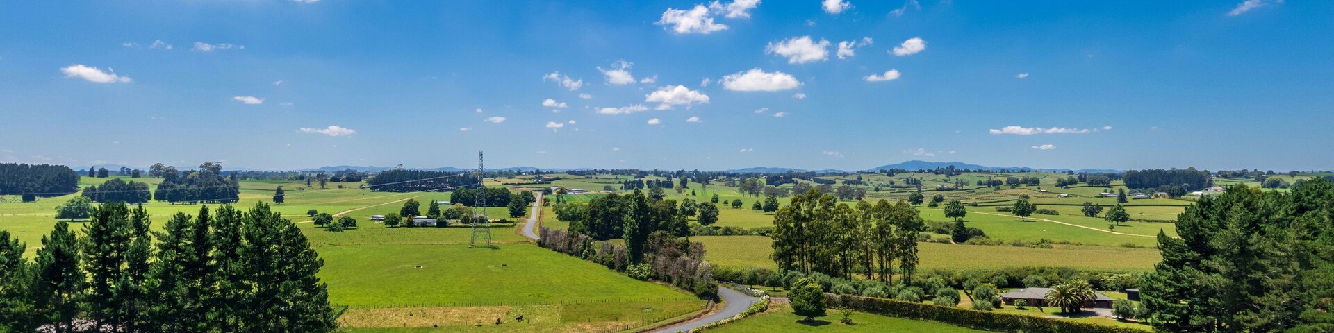 Aerial drone view over lush green farmland in the Waikato region of New Zealand