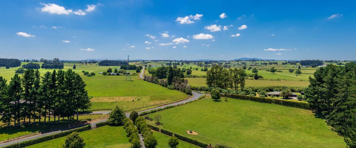 A rural landscape with rolling green fields, a winding road, and scattered trees.